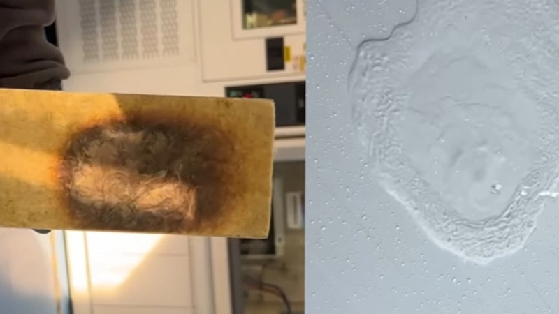 ทางเลือกสูงสุดสำหรับการก่อสร้างอุตสาหกรรม!