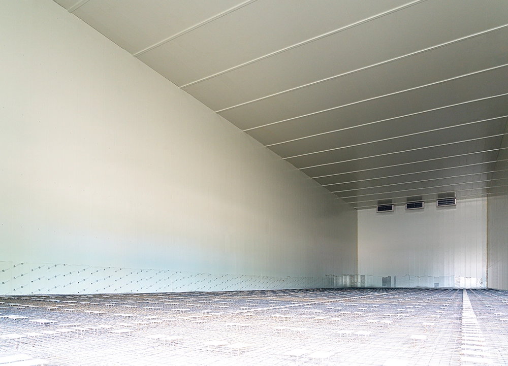 แผ่นพื้น