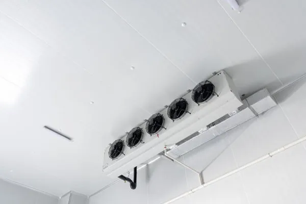 ทำไมต้องเลือกแผงห้องเย็นสำหรับความต้องการในการจัดเก็บอาหารของคุณ?